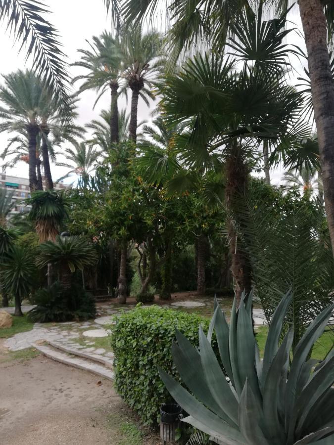 Penthouse Op Toplocatie Orihuela Exterior photo